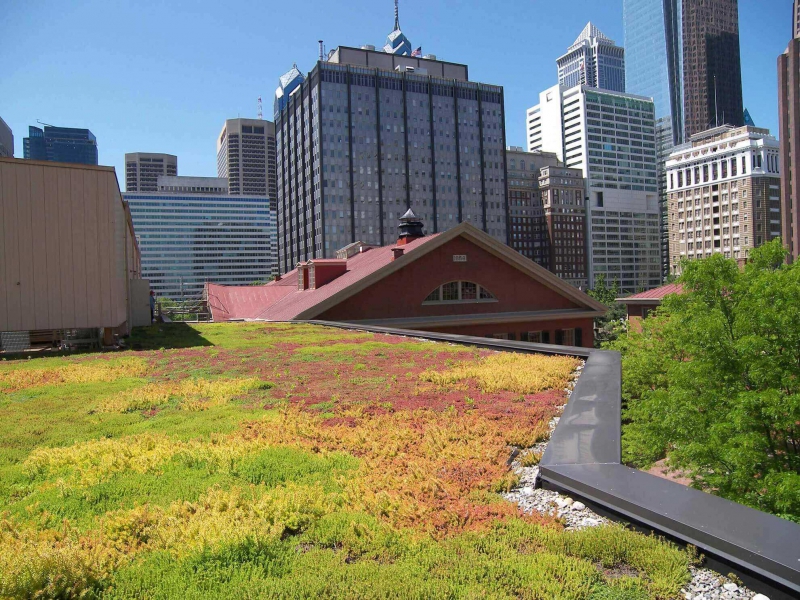 paysagiste-BELVEDERE-min_green-roof-portfolio-4